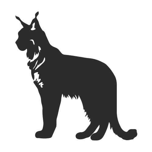 Iberian Lynx