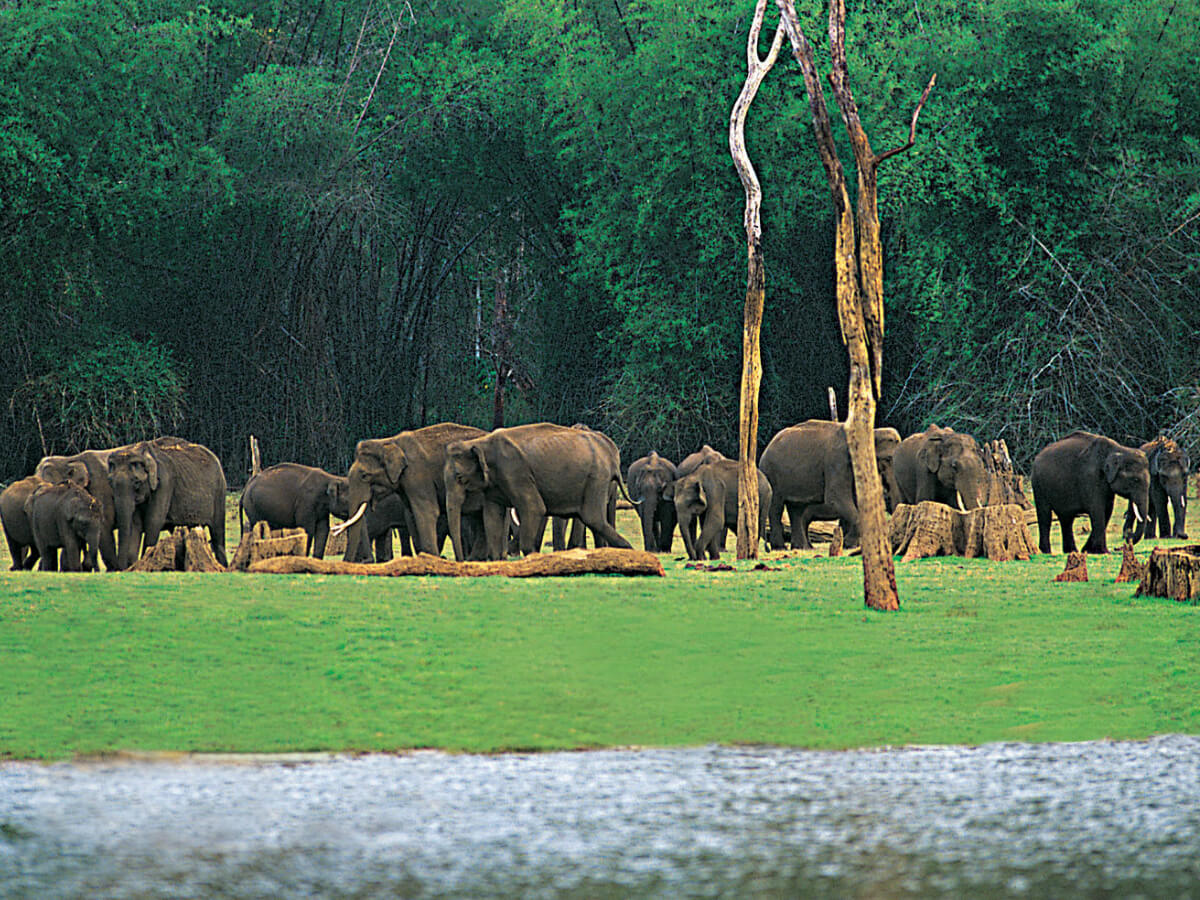 Thekkady summer views featured in ATW Travels Kerala educational trip package