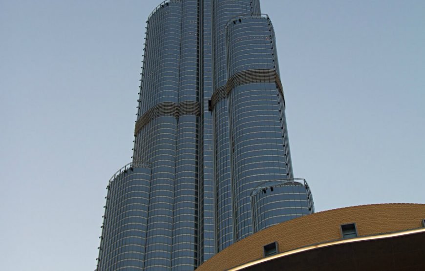 Combo Pack- Dubai City + Desert Safari + Exotic Widlife gallery
