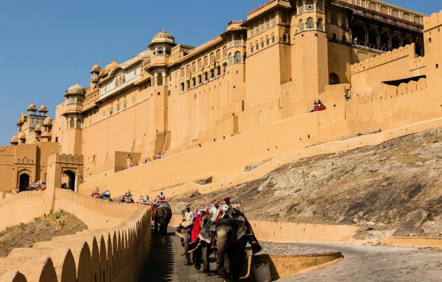 Grand Delhi Agra Jaipur Tour gallery