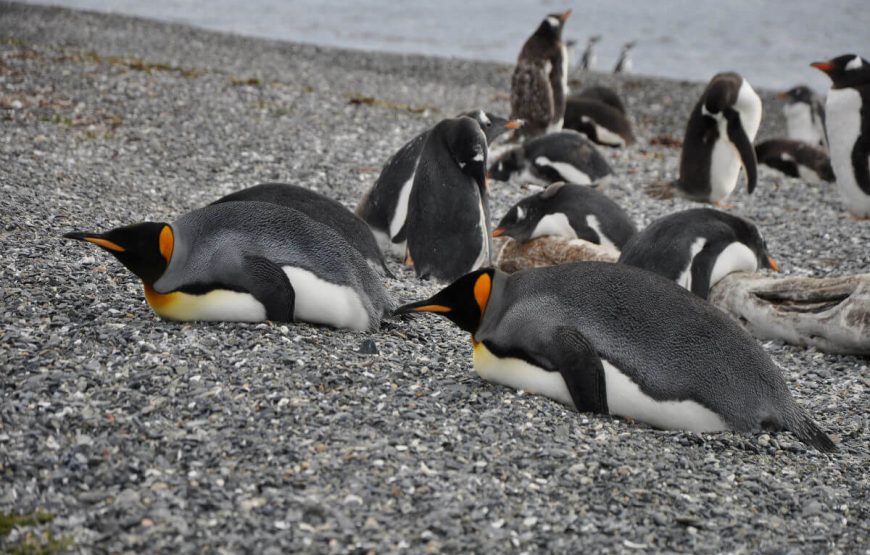 Best of Argentina Tour Packages | 9 Day Itinerary gallery