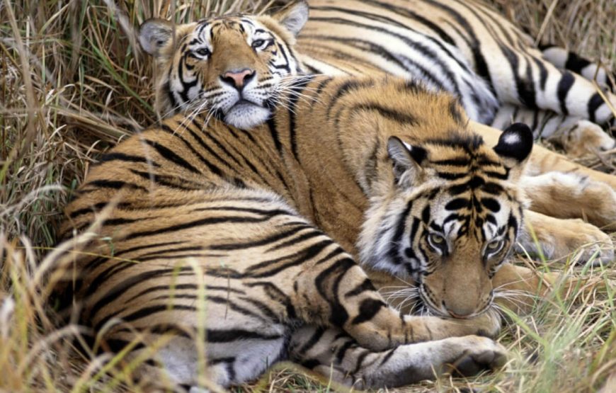 Heritage Chennai Summer Vacation Package gallery