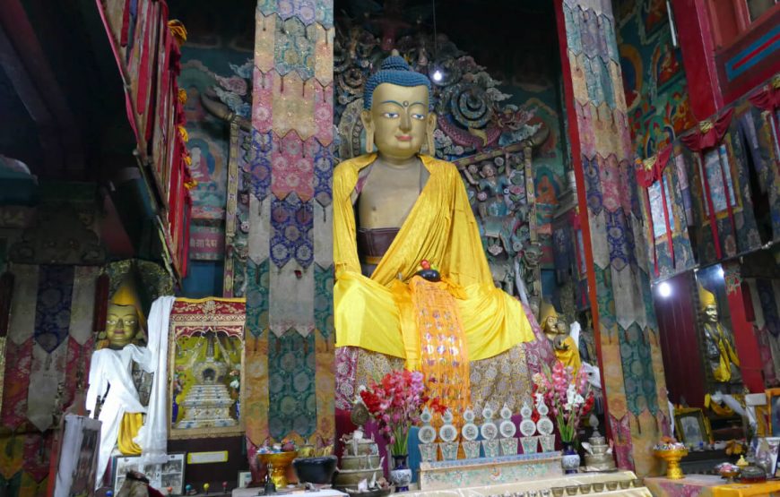 Amazing Gangtok Darjeeling Tour gallery