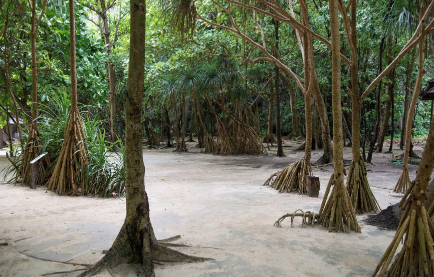 Discover Thailand for 7 Days | Itinerary gallery