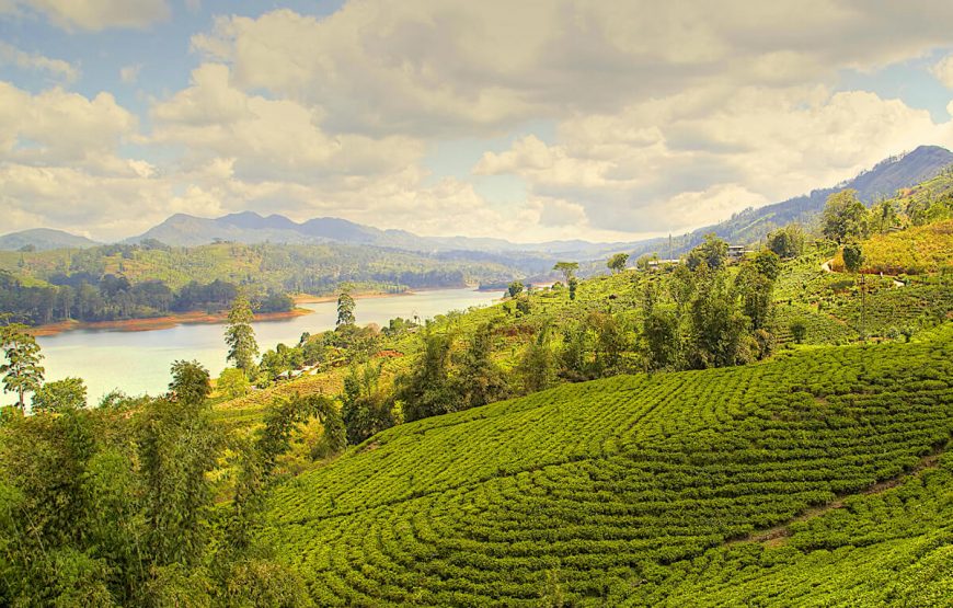 Best of Eastern Hill Tour gallery