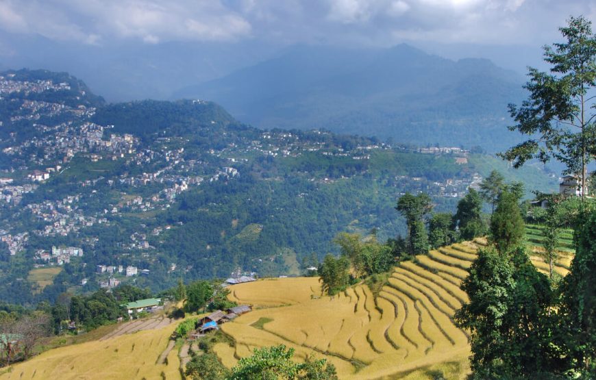 Best of Eastern Hill Tour gallery