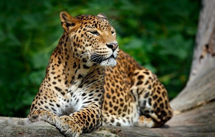 Enchanting Colombo Trip Package gallery