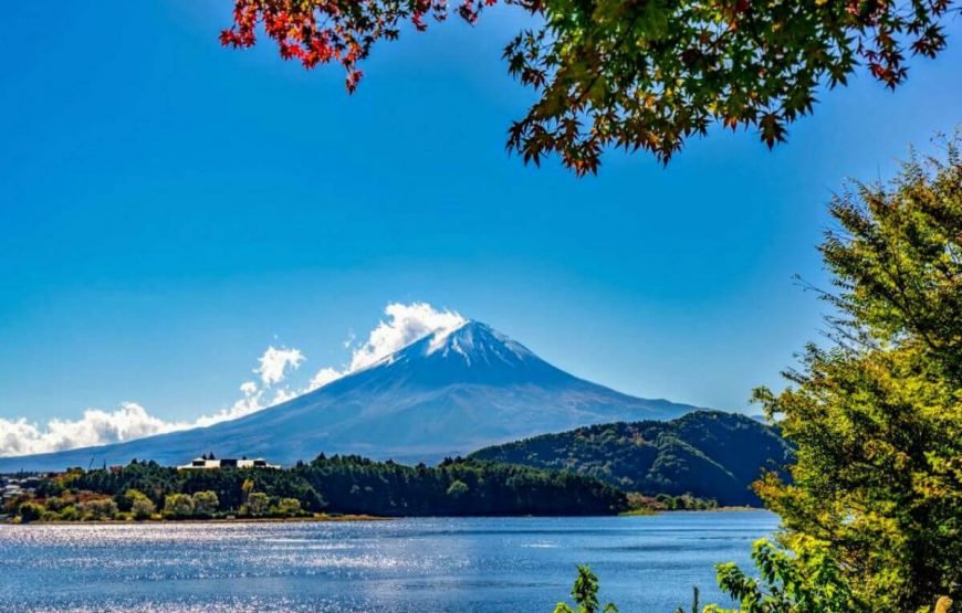 Enchanting Japan for 6 Days | Itinerary gallery