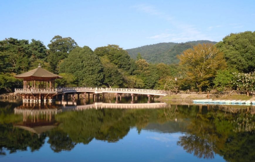 Enjoy Mesmerising Japan with Seoul | 9 Days Itinerary gallery