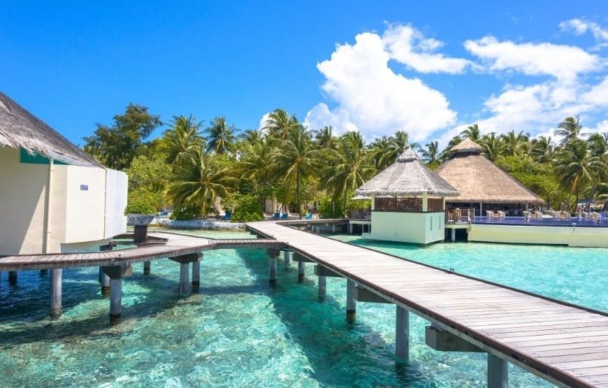 Exotic Retreat at South Palm Resort gallery