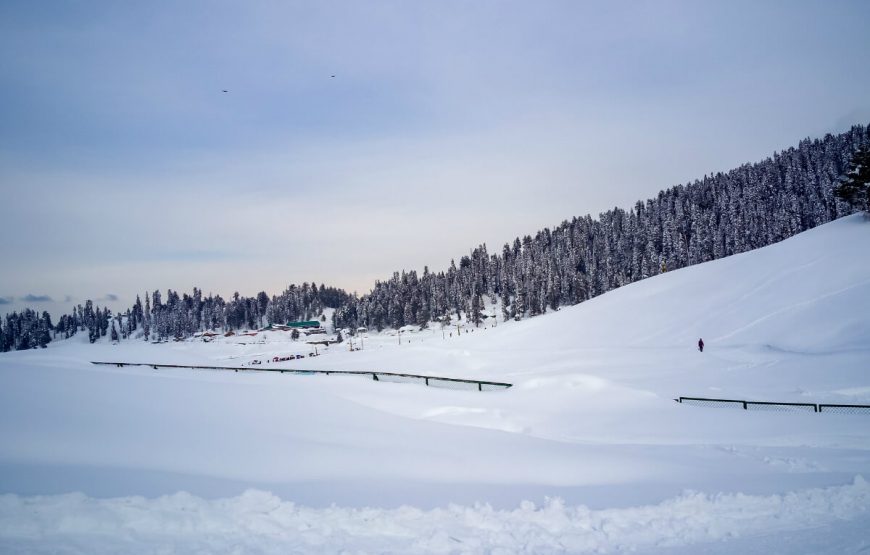 Charming Srinagar Gulmarg Tour gallery