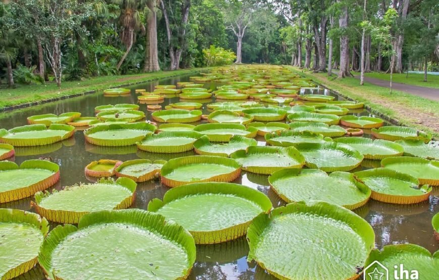 Indulge in the Magical Mauritius Tour | Itinerary gallery