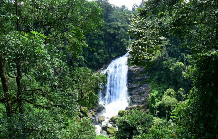 Idealistic Kerala Tour gallery