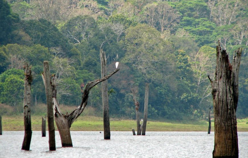 Kerala Special Holiday Package gallery