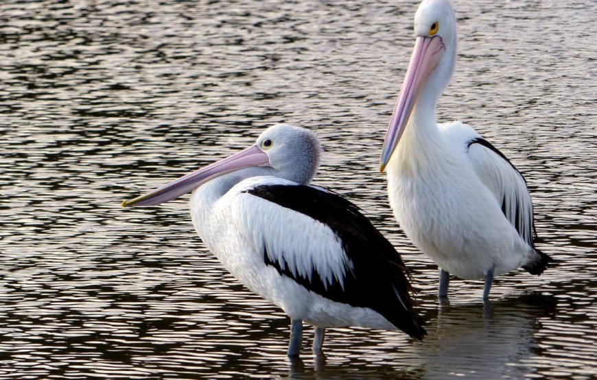 Likuliku Lagoon Resort Holiday Packages: Fiji Paradise with GT Holidays gallery