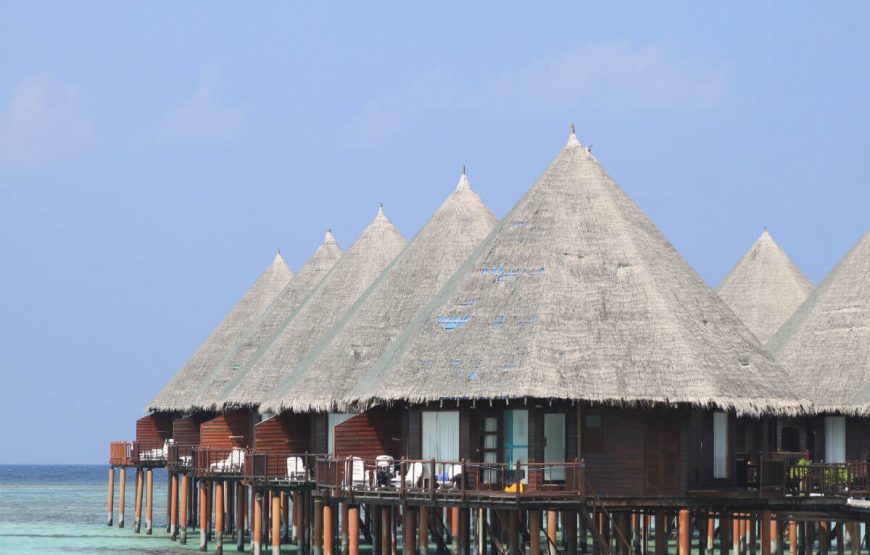 Luxury Escape at Cocoon Maldives