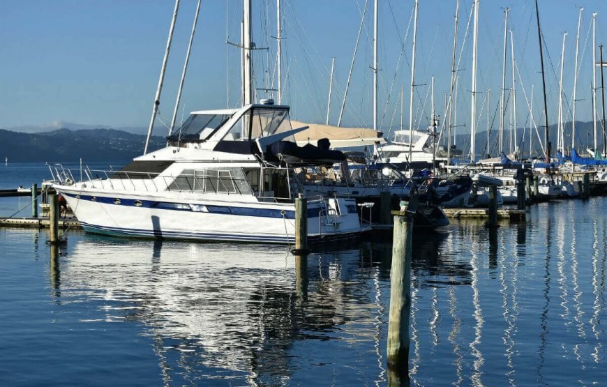 Romantic Retreat: Exploring New Zealand’s Tour Package for Couples gallery