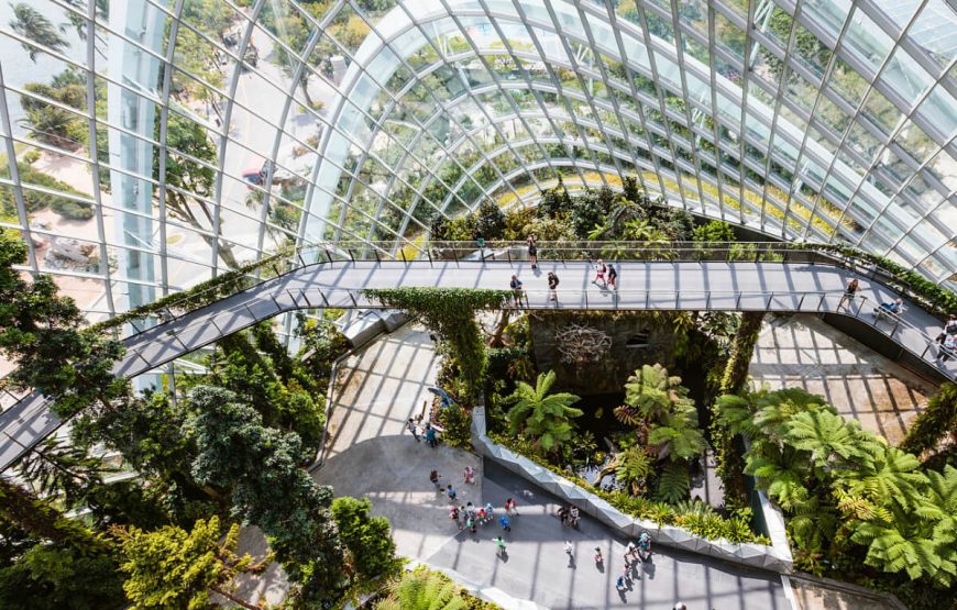 Singapore Family Fun gallery