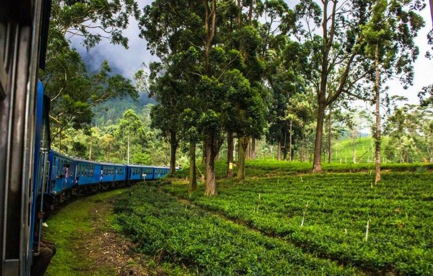 Beauty of Sri Lanka Holiday Package gallery
