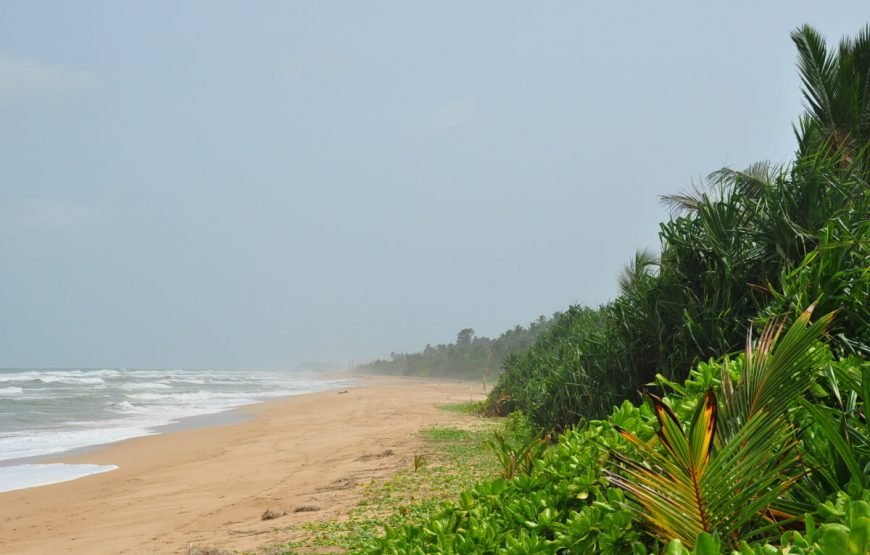 Beauty of Sri Lanka Holiday Package gallery