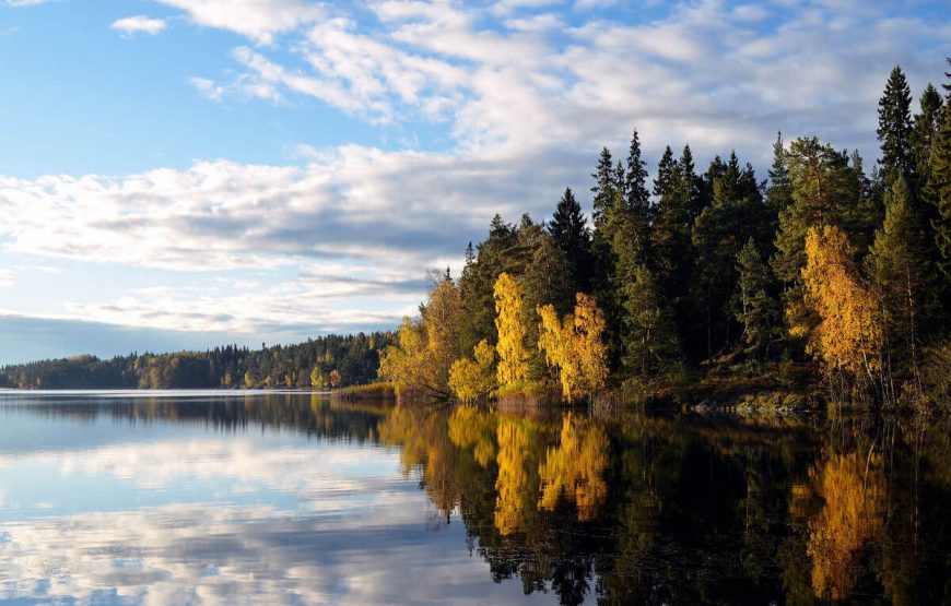 Stockholm Free N Easy