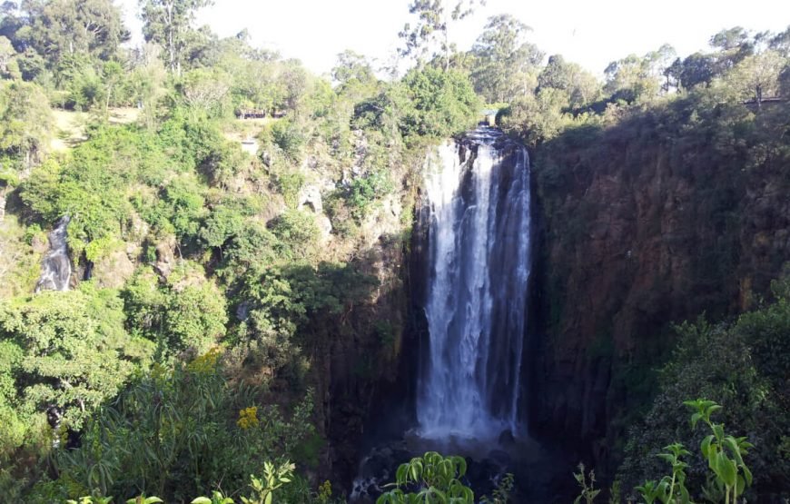Kenya’s Wildlife Extravaganza: The Ultimate Samburu Safari Tour Package gallery