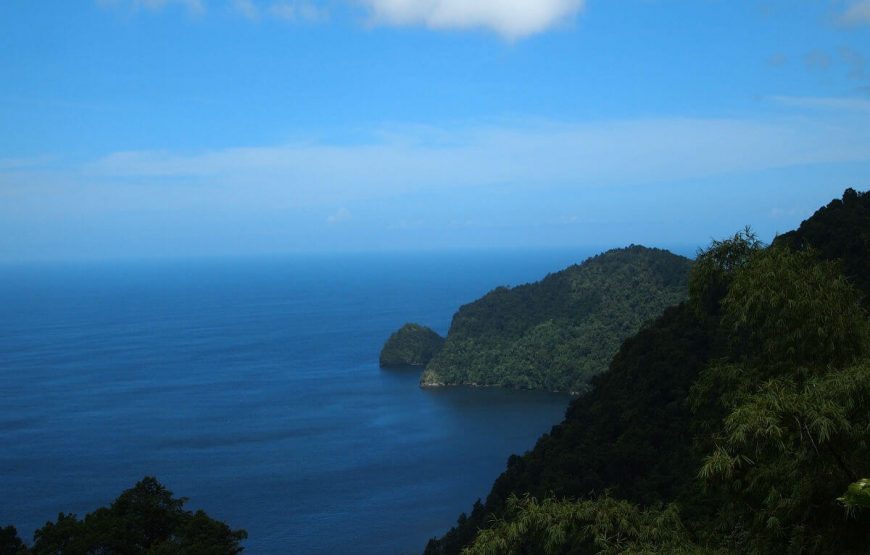 Traverse Through Trinidad and Tobago with GT Holidays