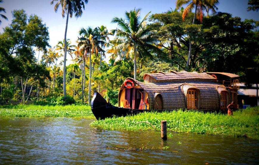Altogether Experiences in Kerala gallery
