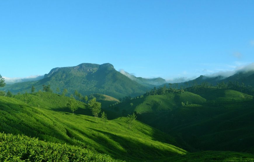 Altogether Experiences in Kerala gallery