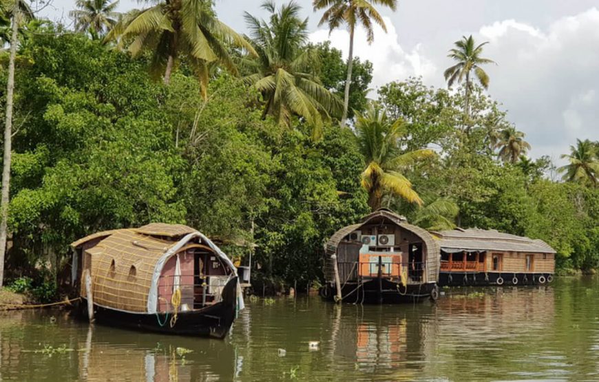 Altogether Experiences in Kerala gallery