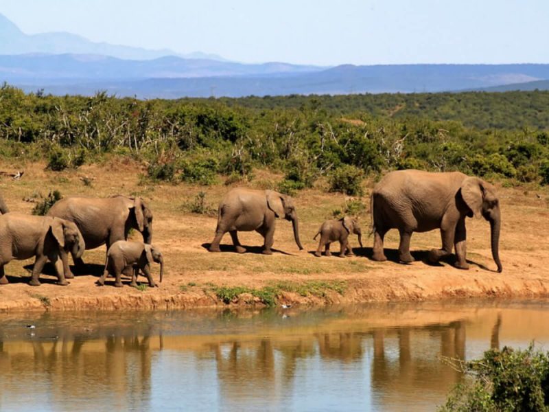 Best Travel Company in India