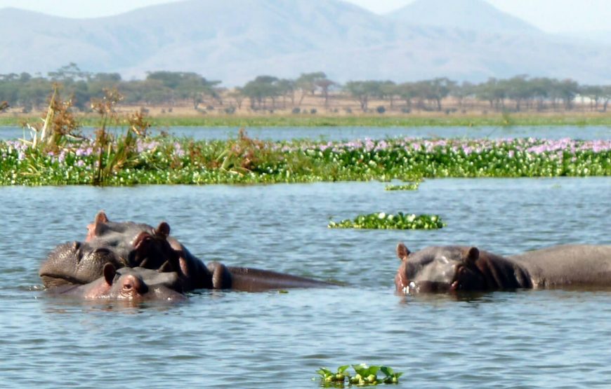 Lake Naivasha tour packages