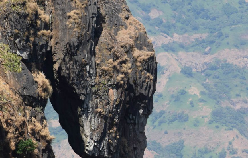 elephant cave