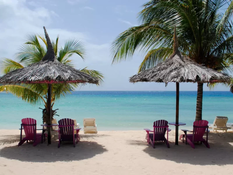 Best Travel Company in India