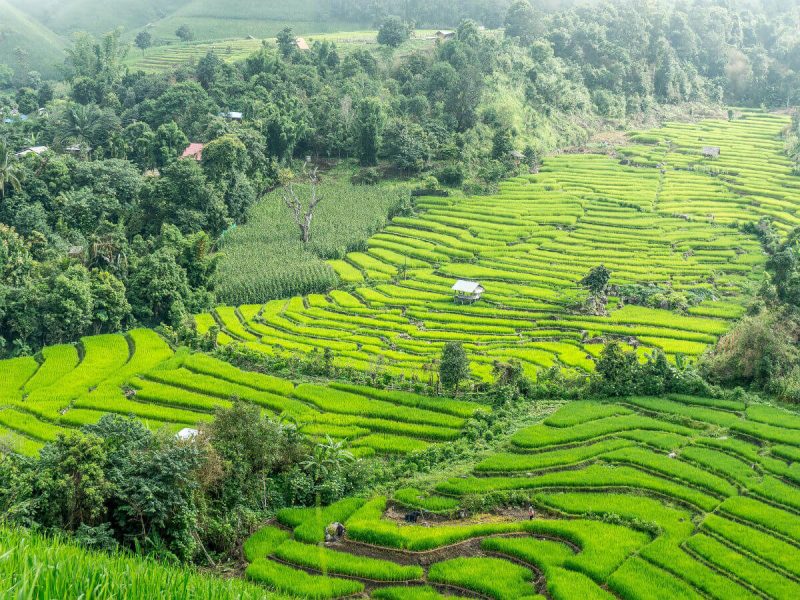 Best Travel Company in India