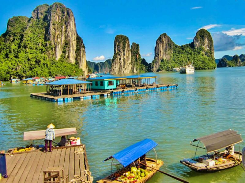 Best Travel Company in India