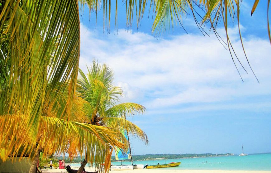 tropical trees and beach and jamaica