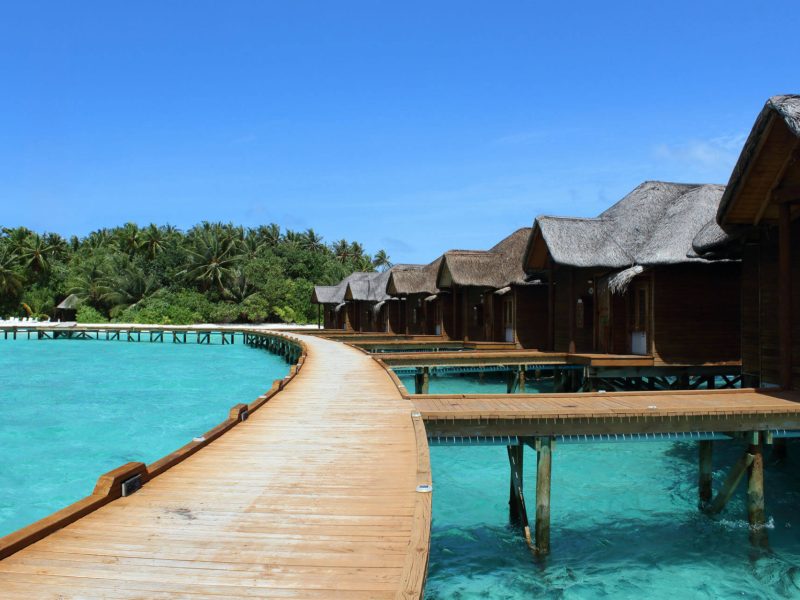 Best Travel Company in India